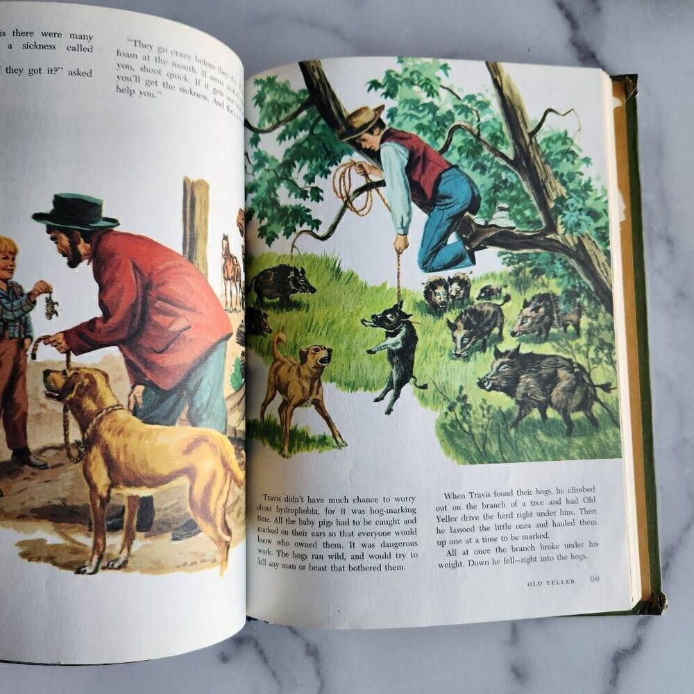 The wonderful worlds of Walt Disney vintage pine Green hardback 1965 America's - Picture 10 of 10